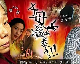 最好看的2019国语字幕电影